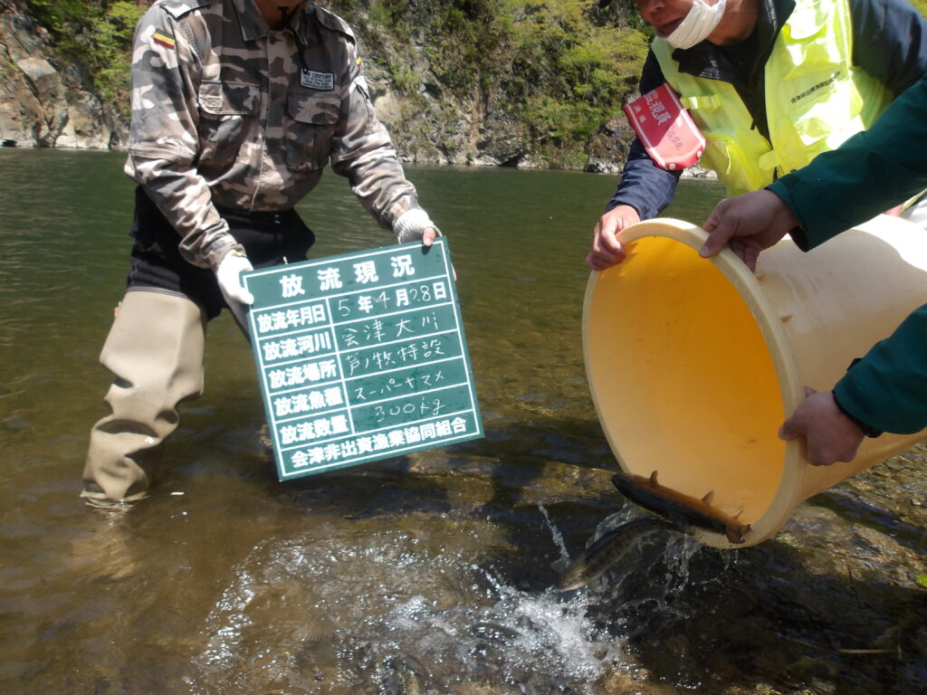 ４月28日（金）スーパーヤマメ放流