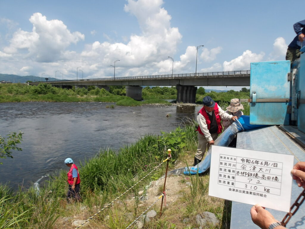 🐟第４回　アユ放流