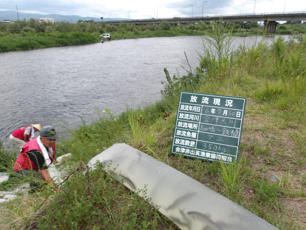 🐟アユ追加放流