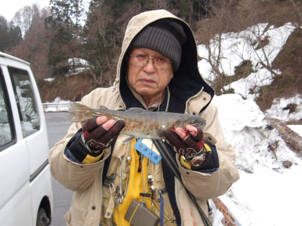 🎣渓流釣果解禁🐟４月１日（火）