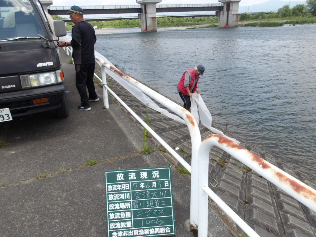 🐟６月５日　ニジマス放流しました！　