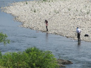 ６月29日（土）あゆ解禁日の釣果