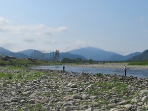 アユ釣果情報　今年はいつもと違うぞ!(^^)!