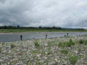 ※友釣り情報※　水待ちでこれからがスゴイ