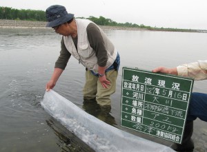 第１回　稚鮎放流しました。