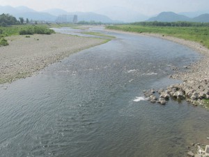 アユ解禁目前の河川状況です。