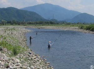 アユ情報№１　10日目の会津大川(^_-)-☆