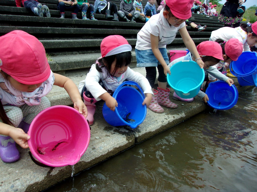 幼稚園児　放流体験