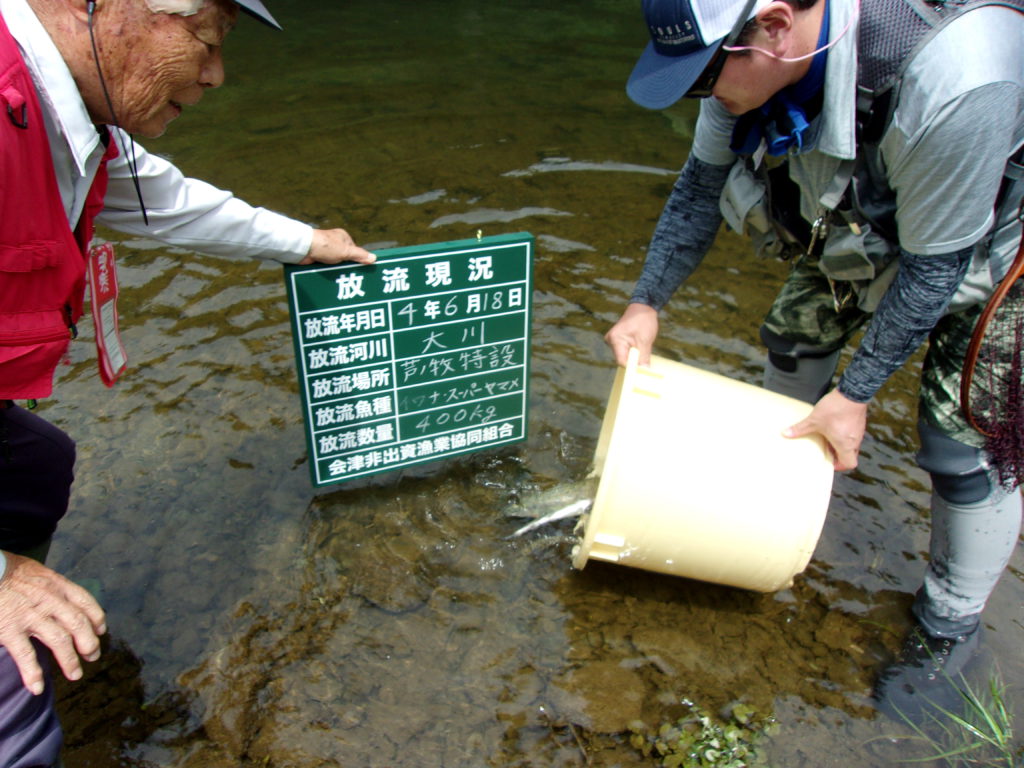 芦ノ牧特設釣場　放流しました！