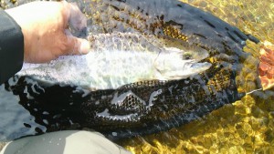 流れの筋を見つけて流すと簡単だよ！