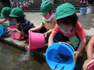 みなみ若葉幼稚園の皆さん放流ありがとうございました。(＾◇＾)