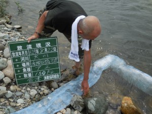 今年度最後の放流となりました。(^^)/