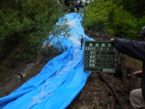 スーパーヤマメ放流（東山ダム）第１回目放流しました。(‘◇’)ゞ