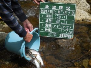 放流お知らせ(*^-^*) 訂正です(/ω＼)
