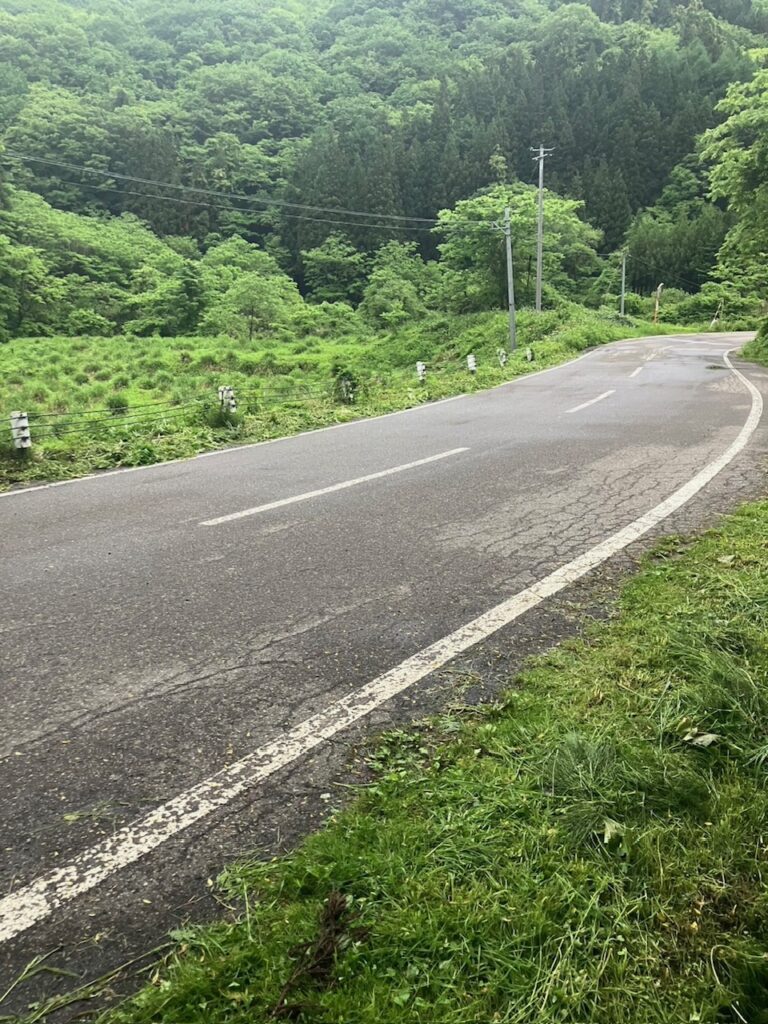 🎣東山　釣果情報😎