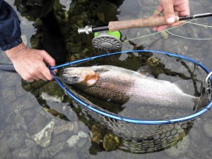 悪天候ですが！・・・魚達には、ベスト・タイム