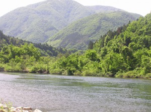 会津大川本流（上三寄特設釣場）河川状況！