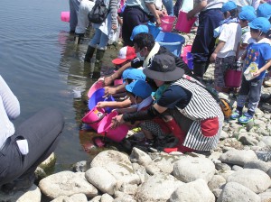 みなみ若葉幼稚園のみんな放流協力どうもありがとう(^_-)-☆