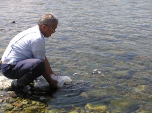 うなぎの放流実施