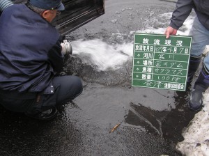 サクラマス放流実施しました。