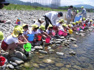 園児たちが稚アユ放流協力