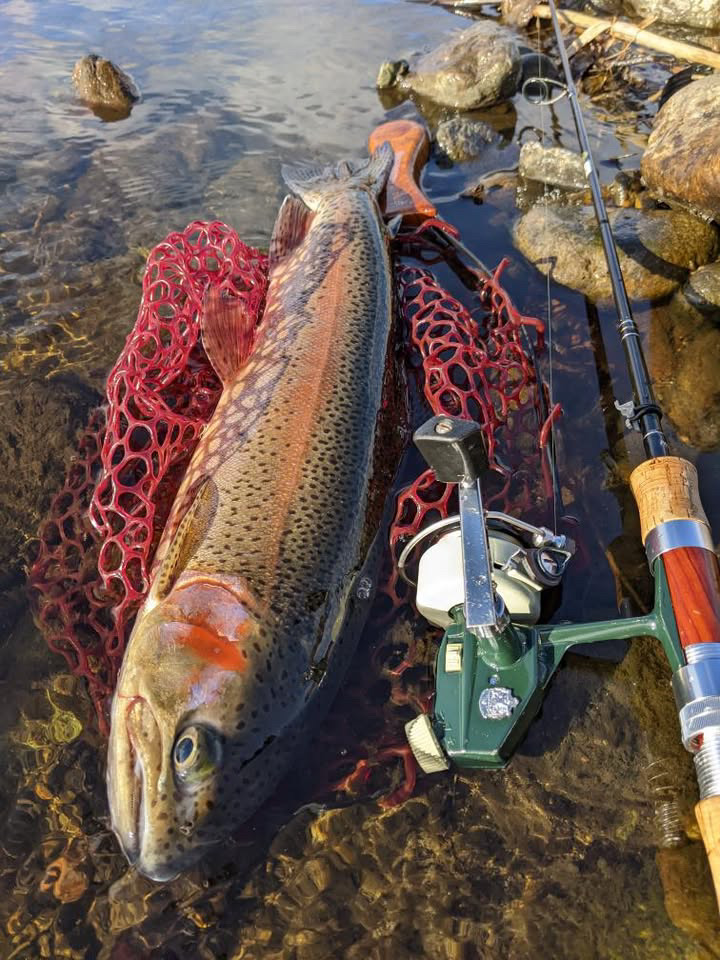 🎍釣果情報が入りましたのでお知らせいたします😎🎣✨