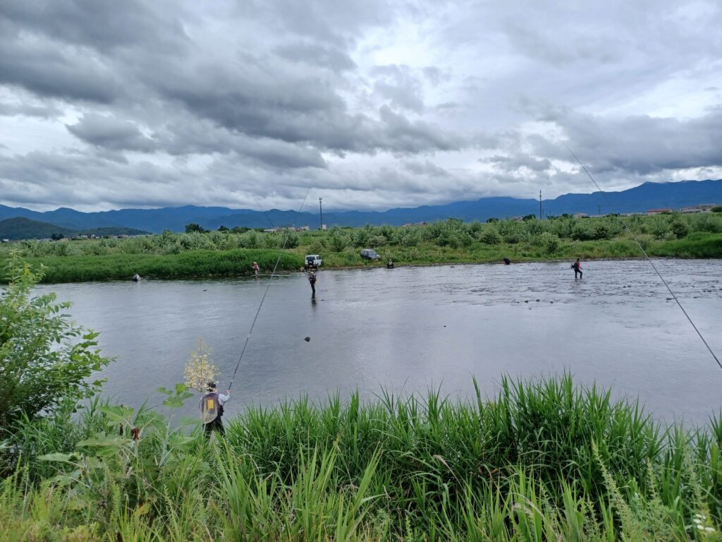 🎣アユ釣果情報