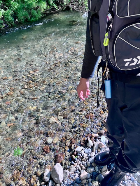 🎣釣果情報　５月５日✨